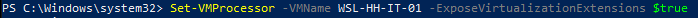 Screenshot of a powershell command at the command line. The actual text follows below this image.